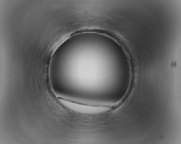 X0000111651361200907171534