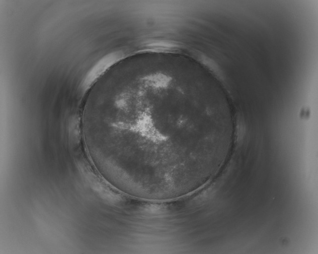 X0000111651362200907171534