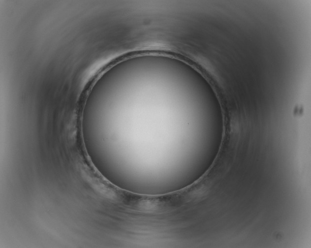 X0000111651364200907171534