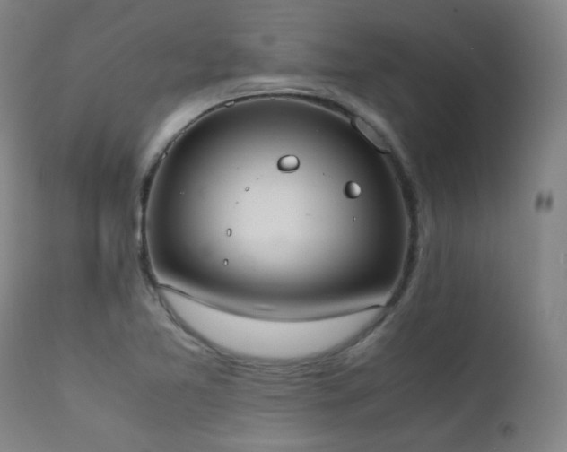 X0000111651365200907171534