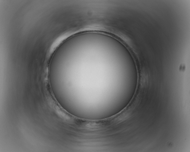 X0000111651366200907171534