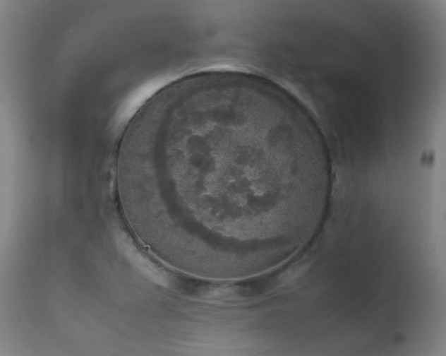 X0000111651367200907171534