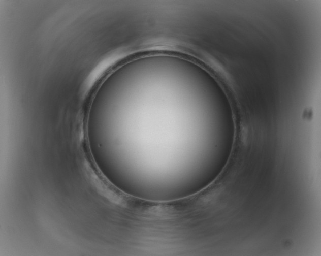 X0000111651368200907171534