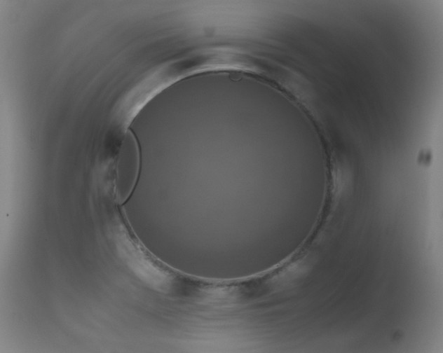 X0000111651369200907171534