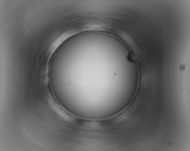 X0000111651370200907171534