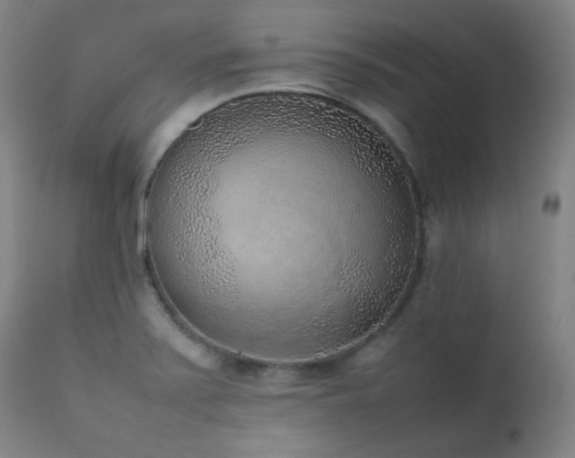 X0000111651371200907171534