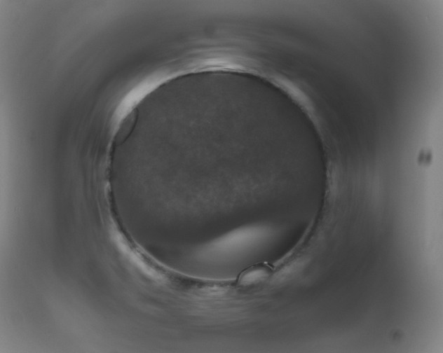 X0000111651373200907171534
