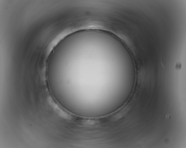 X0000111651374200907171534