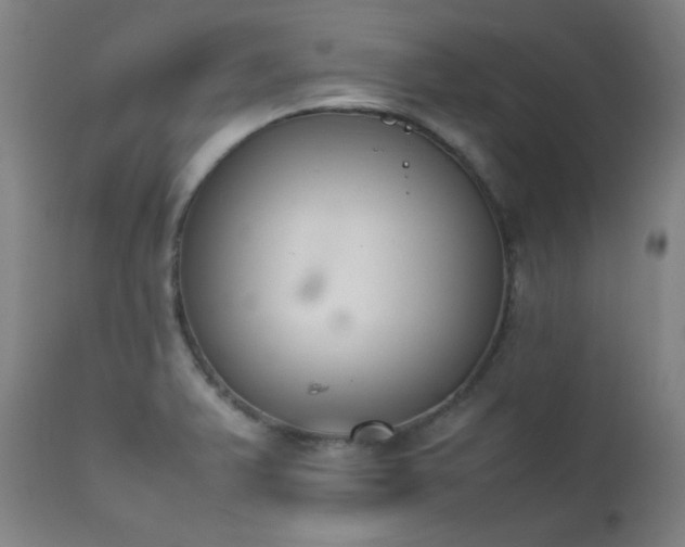 X0000111651375200907171534