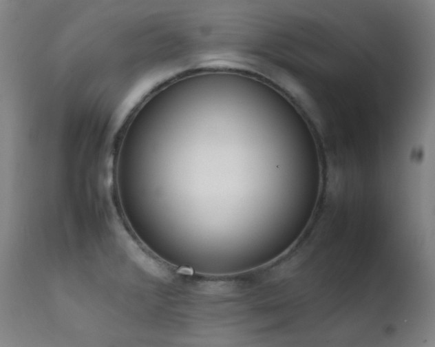 X0000111651376200907171534