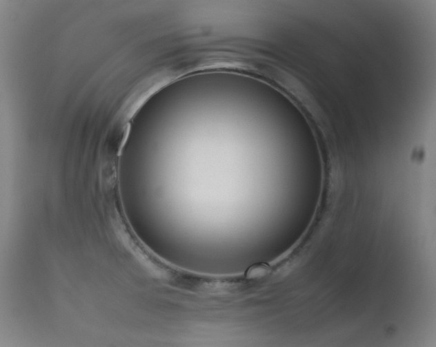 X0000111651377200907171534