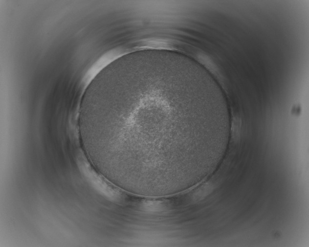 X0000111651378200907171534