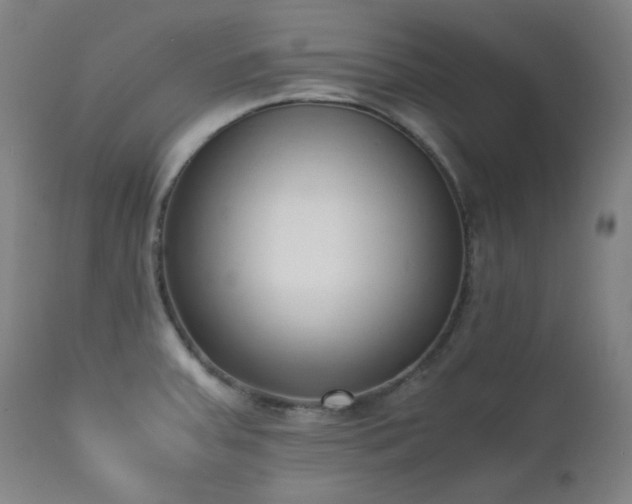 X0000111651379200907171534