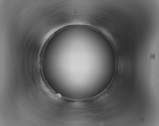 X0000111651380200907171534