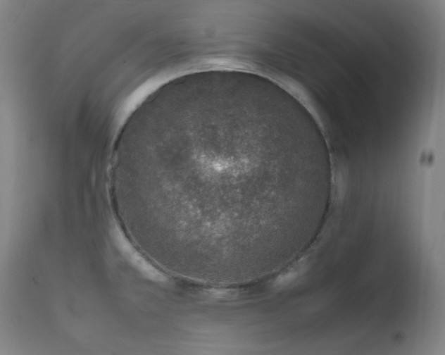 X0000111651381200907171534