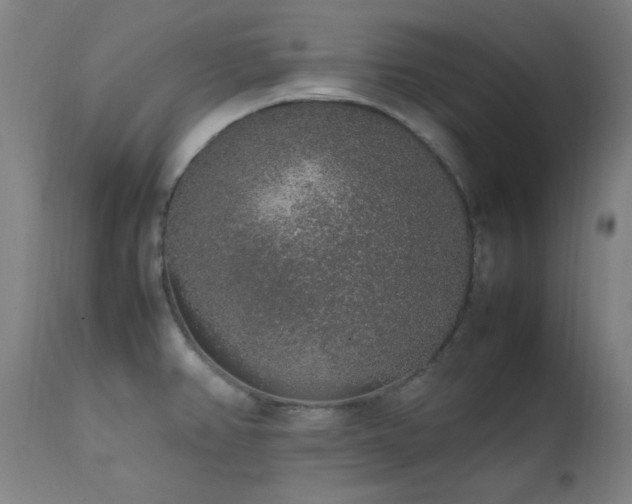 X0000111651382200907171534