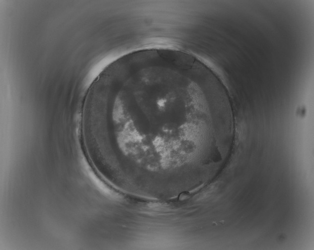 X0000111651383200907171534