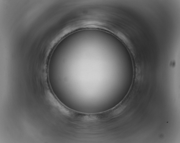 X0000111651384200907171534
