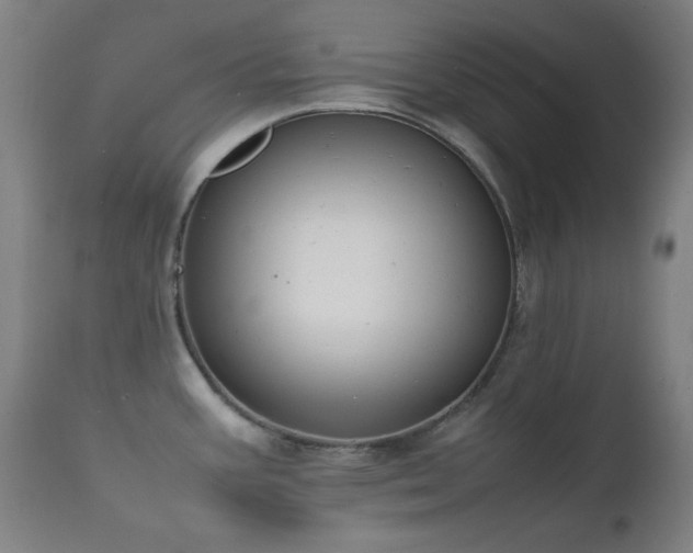 X0000111651387200907171534