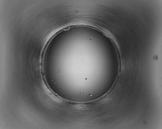 X0000111651388200907171534