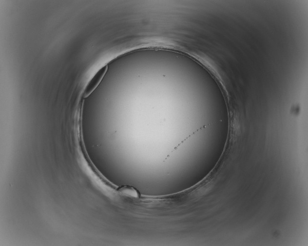 X0000111651391200907171533