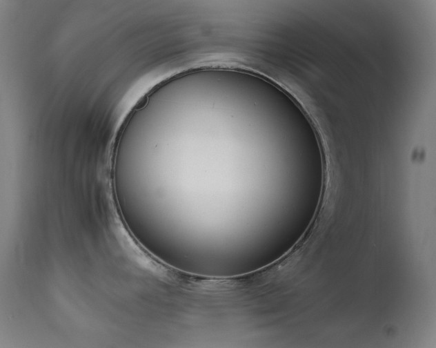 X0000111651392200907171533