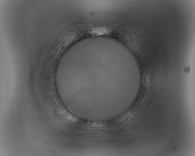X0000111651393200907171532