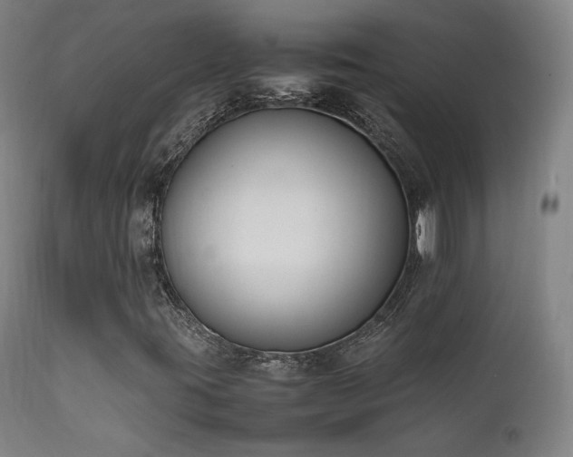 X0000111651395200907171532