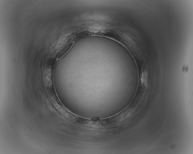 X0000111651396200907171532