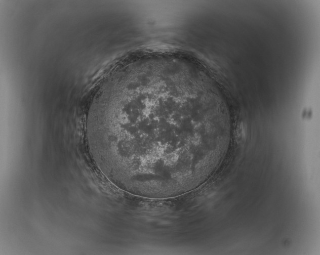 X0000111651397200907171533