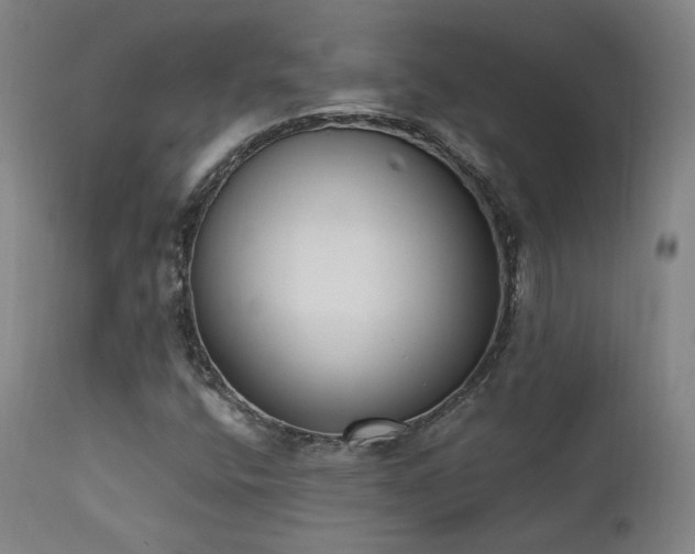 X0000111651400200907171533
