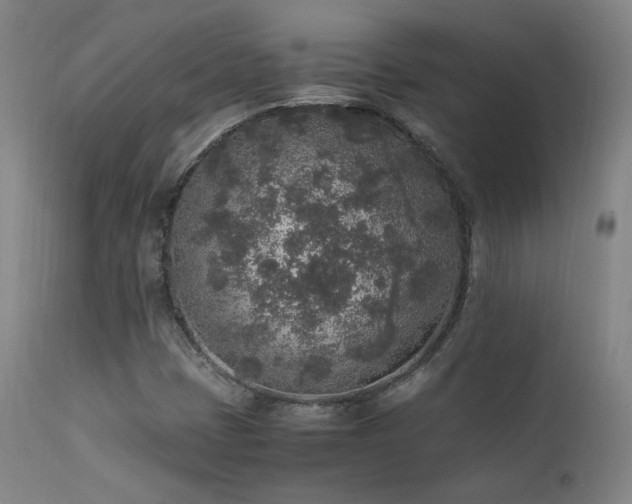 X0000111651401200907171533