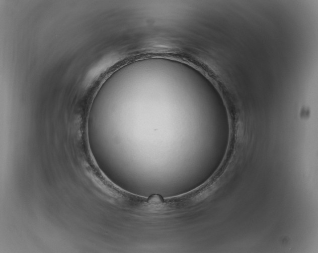 X0000111651402200907171533