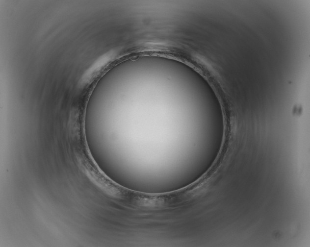 X0000111651403200907171533
