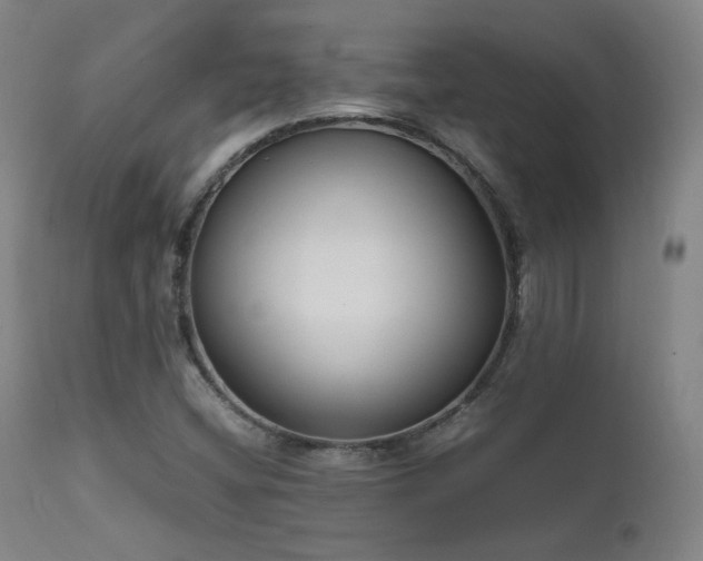 X0000111651404200907171533