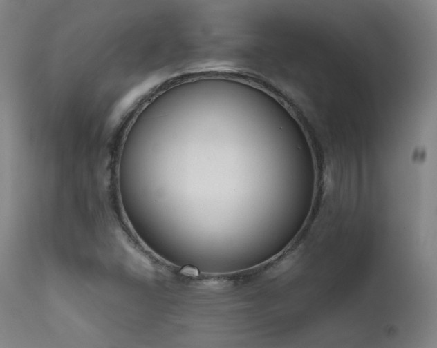 X0000111651406200907171533
