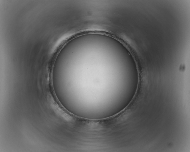 X0000111651408200907171533