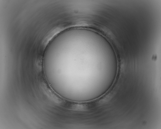 X0000111651409200907171533