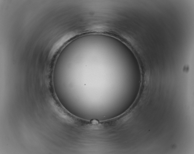 X0000111651410200907171533