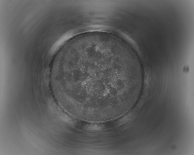 X0000111651411200907171533