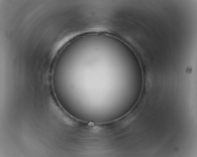 X0000111651412200907171533