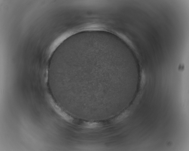 X0000111651413200907171533