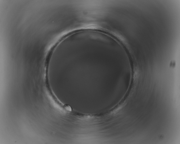 X0000111651414200907171533