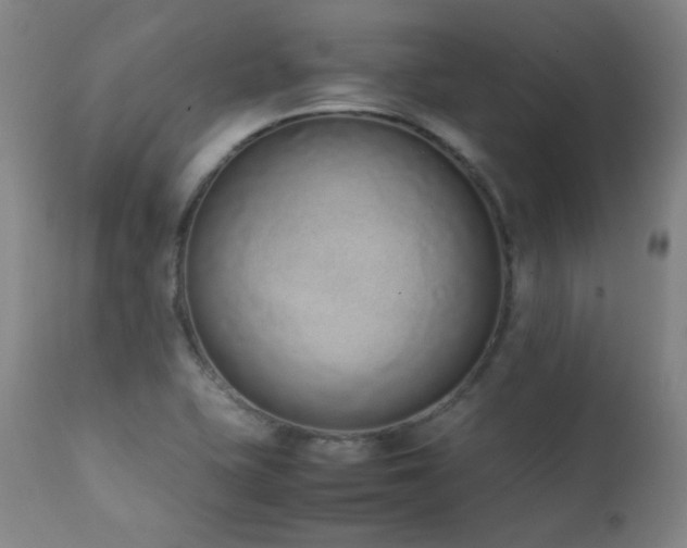X0000111651415200907171533