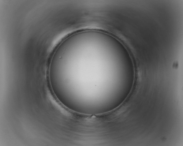 X0000111651416200907171533
