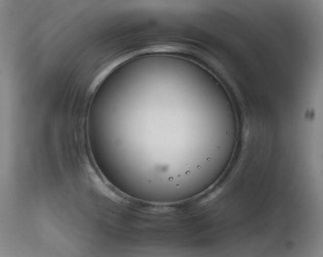X0000111651417200907171533
