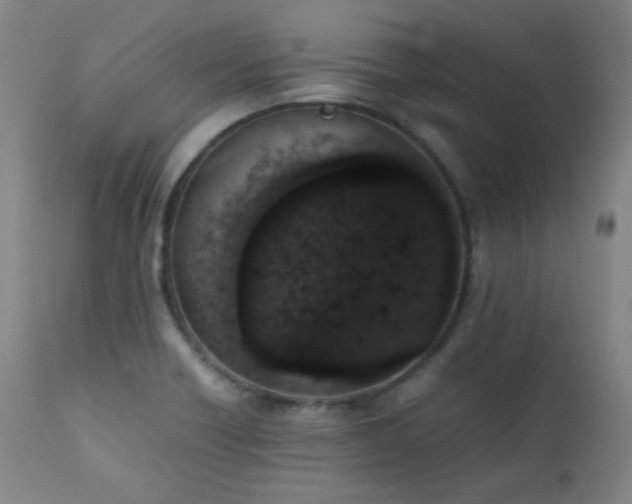 X0000111651418200907171533
