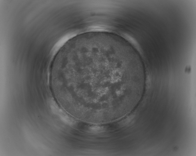 X0000111651419200907171533