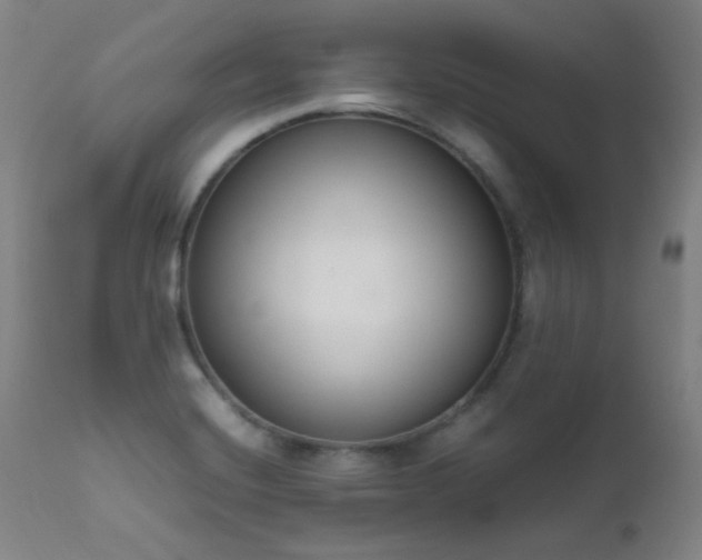 X0000111651420200907171533
