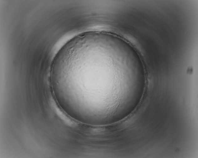 X0000111651421200907171533